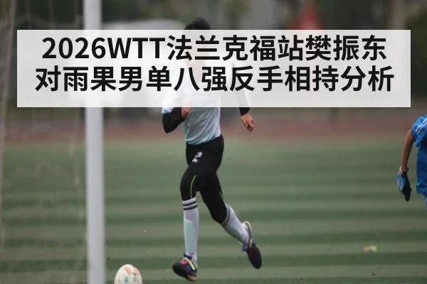 2026WTT法兰克福站樊振东对雨果男单八强反手相持分析